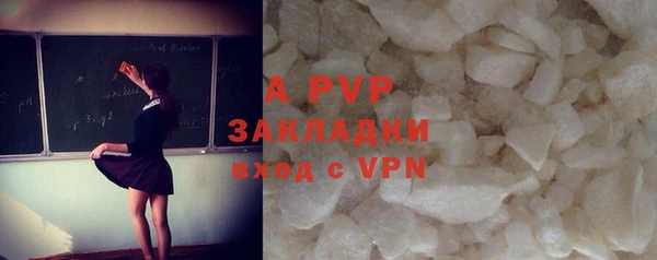 mdpv Богданович