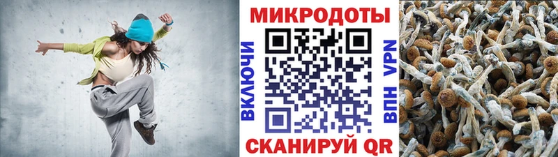 Псилоцибиновые грибы GOLDEN TEACHER  Обь 